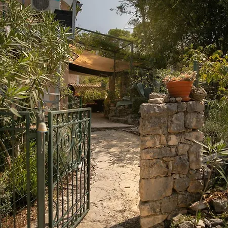 Silna Your New With Terrace And Garden